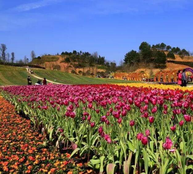南昌四季花谷景区门票？